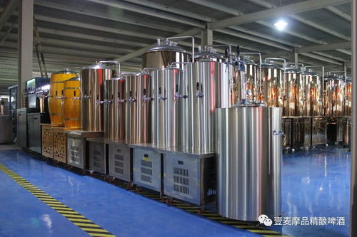 精釀啤酒設備產品構造與電鍍成套設備的技術融合